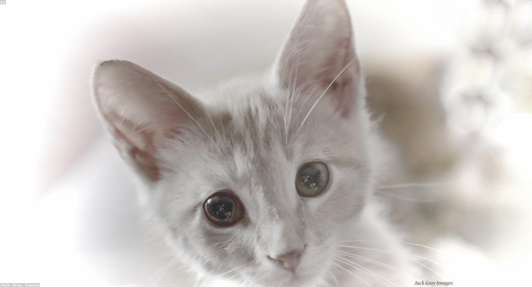 Autem velit incidunt.