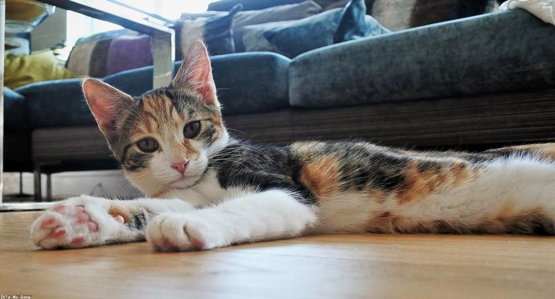 Expedita porro vero est ratione.